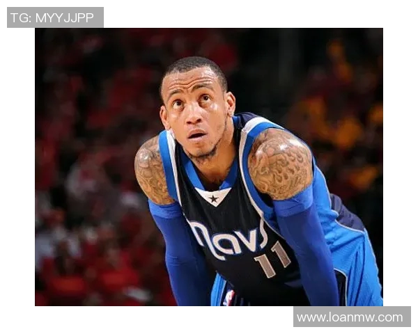 独行侠队签下自由球员埃利斯-路奇：开启全新篇章